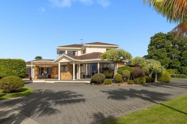 12 Jordan Street Tauranga Central_1