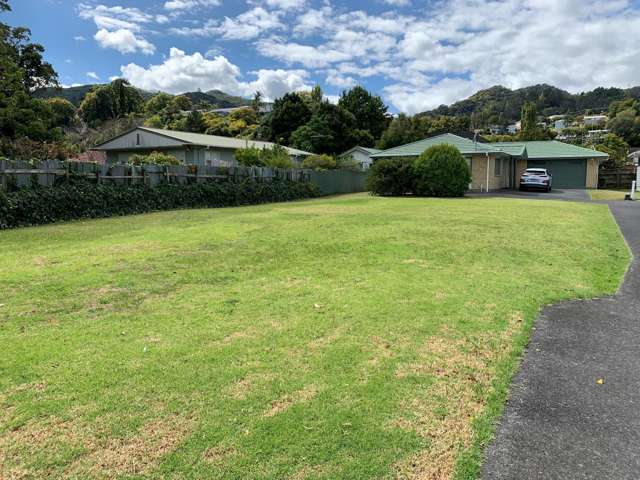 218 Rolleston Street Thames_1