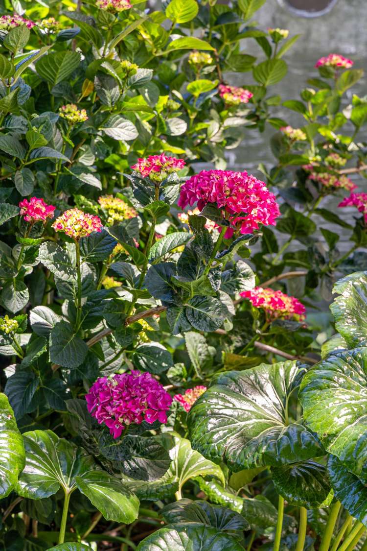 87 Aorangi Road Bryndwr_23