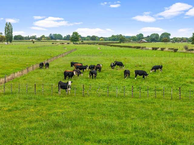 493 Horotiu Road Te Kowhai_4