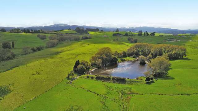 Kaiwaka-Mangawhai Road Kaiwaka_3