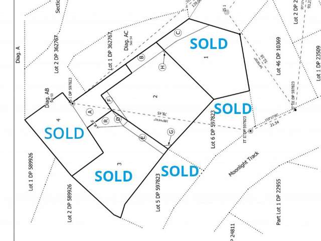 65B McChesney Road Arthur's Point_1