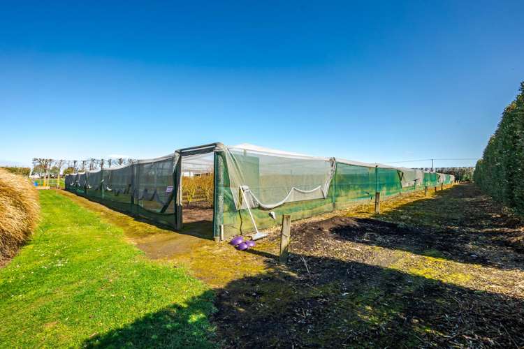 16 Arowhenua Station Road Kerrytown_67