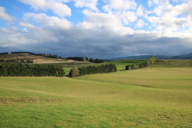 13 Kakapo Road Te Anau_21