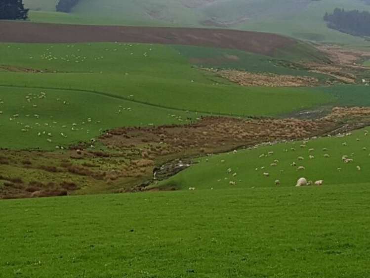 1680 Mahinerangi Road Waipori_28