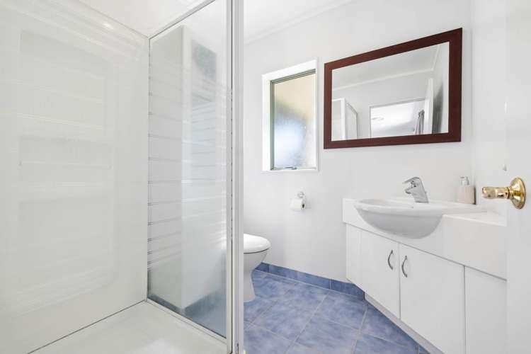 187 Cameron Town Road Pukekohe_21
