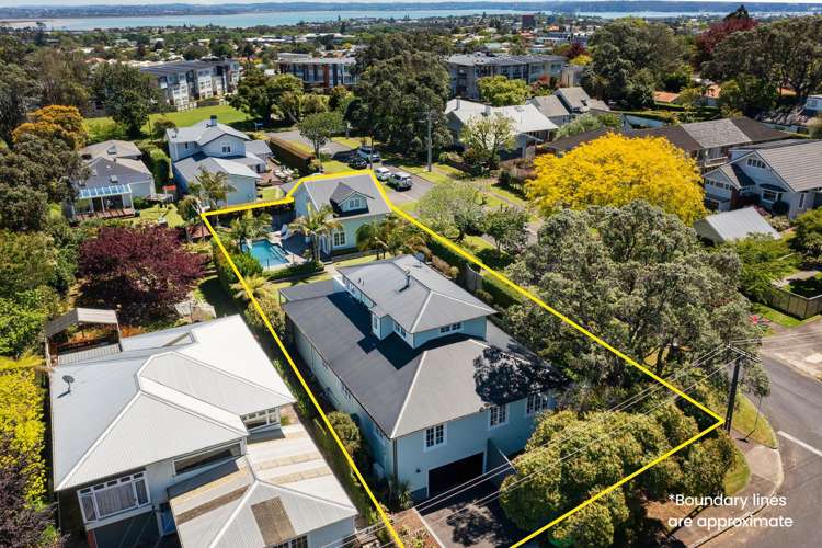 1 Douglas Avenue Mount Albert_45