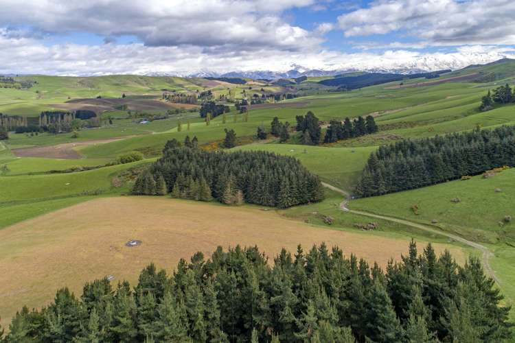 1537 Geraldine-Fairlie Highway_3