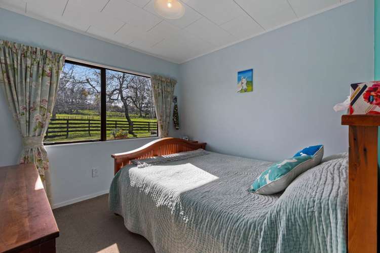 10 Lascelles Drive Dairy Flat_17