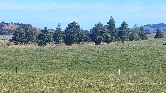 1209 Taniwha Road Waerenga_3