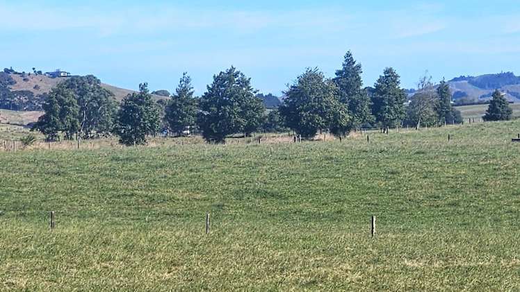 1209 Taniwha Road Waerenga_3