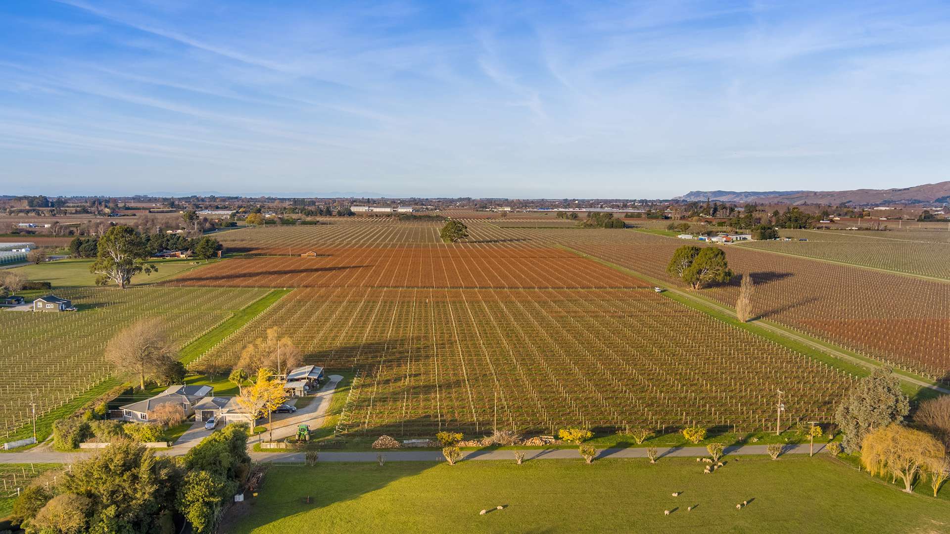 21 Burnside Avenue Springlands_0