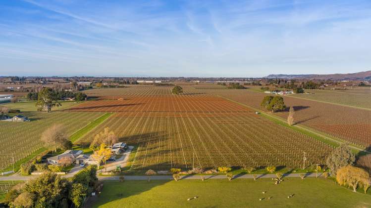 21 Burnside Avenue Springlands_0