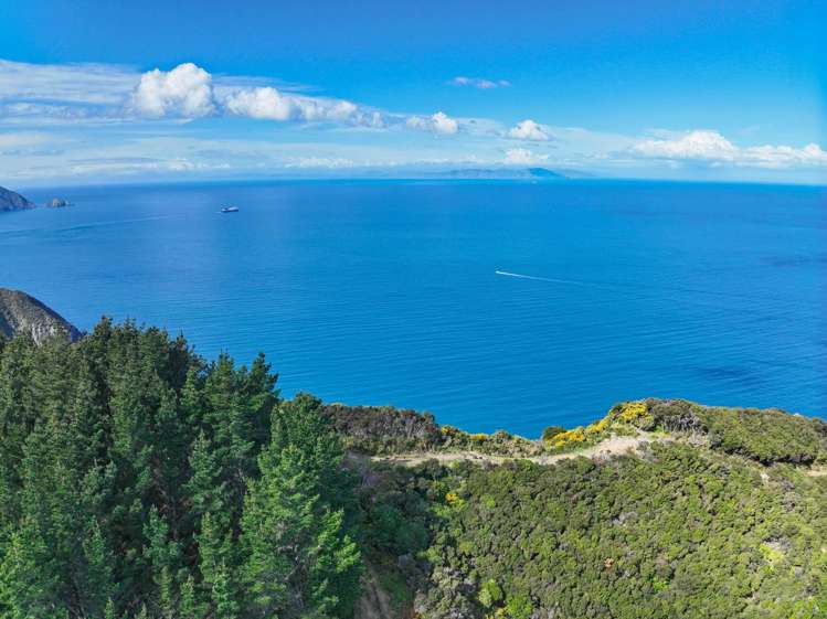 Te Rua Bay Tory Channel_9