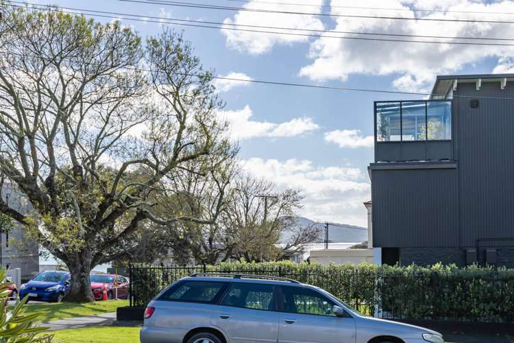 4/6 Tuhimata Street Saint Heliers_13