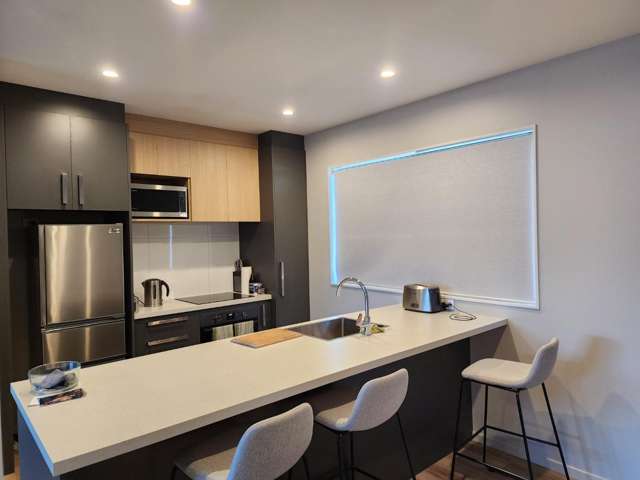 3 Hendrick Lane 11103_2