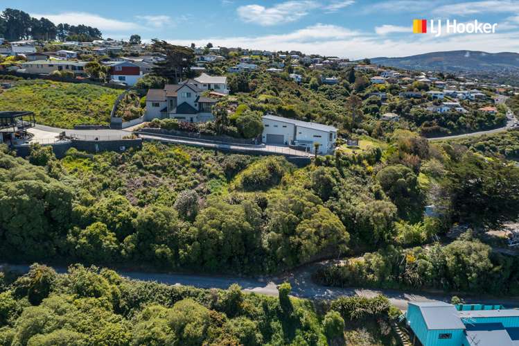 2l Clayton Street Saint Clair_6