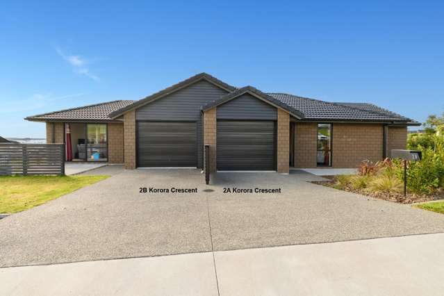 Two Rents, Extended Families or Home & Income!