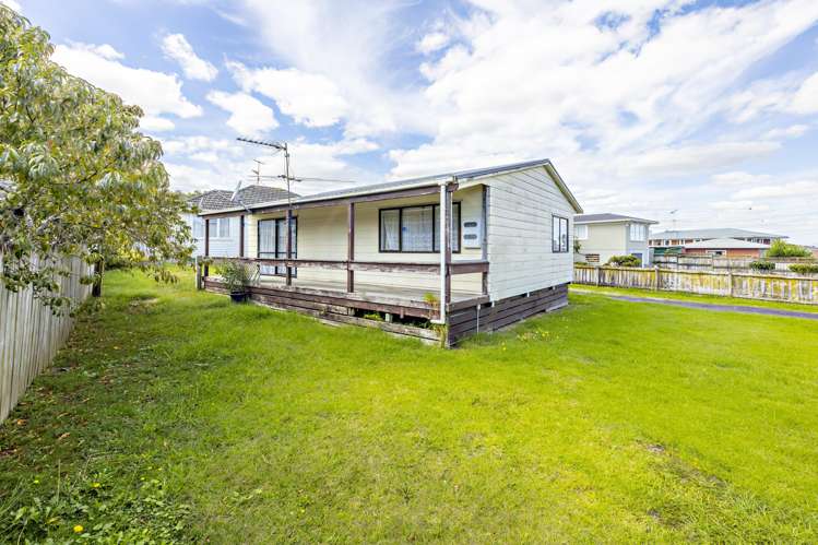 3 Christmas Road Manurewa_11