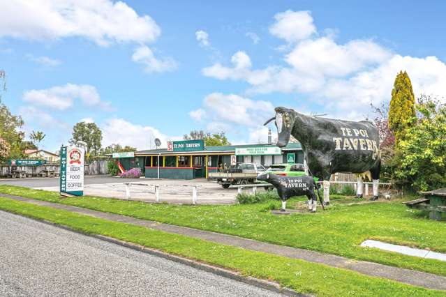 11 Te Poi Road Matamata-piako Surrounds_1