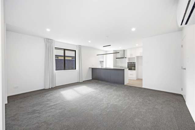 8 Corry Lane Rolleston_1