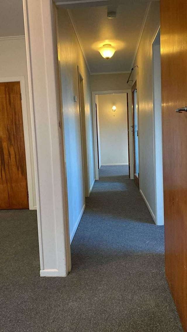 1 Mace Street Island Bay_4