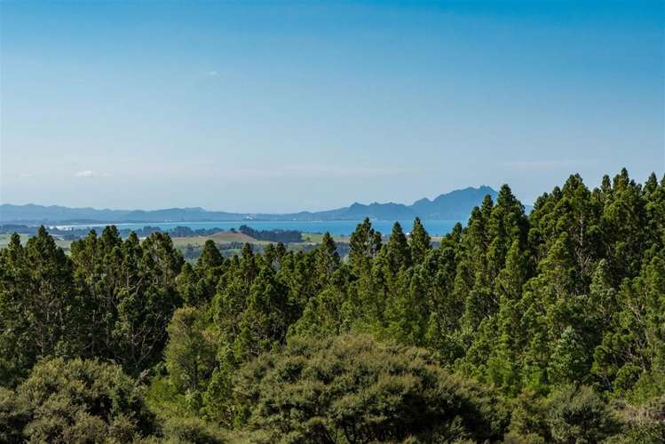 168 Massey Road Waipu_19