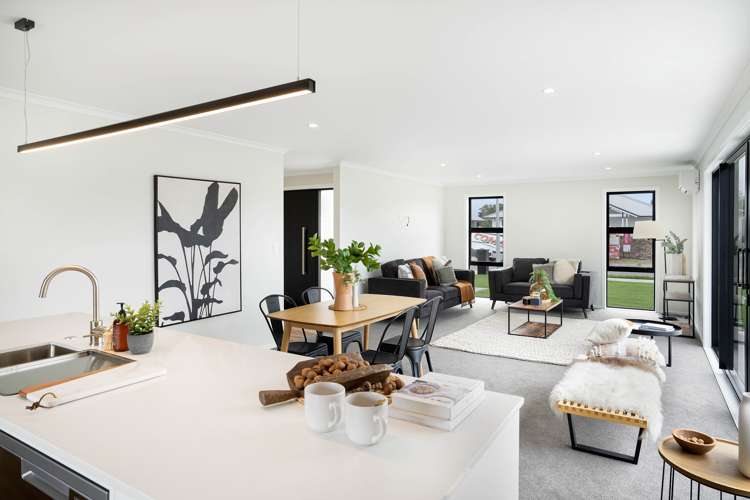 3 Nathan Lane Masterton_5