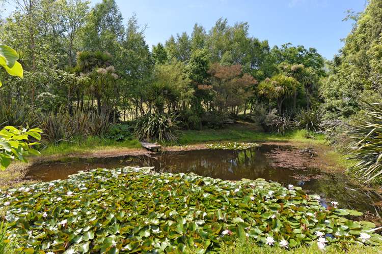 58 Lacebark Lane Upper Moutere_17