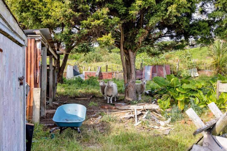 7 Norfolk Street Patea_13