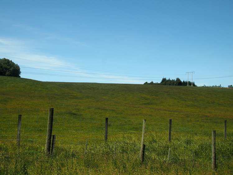 210 Terry Road Gore_12