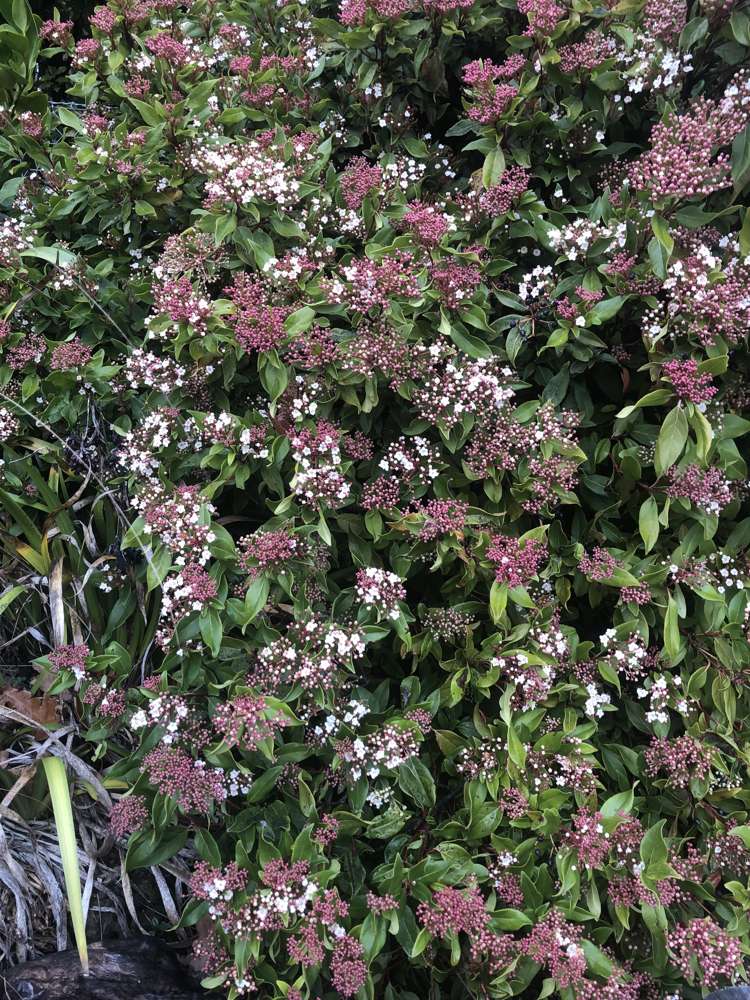 11 Meadow Street Lumsden_8