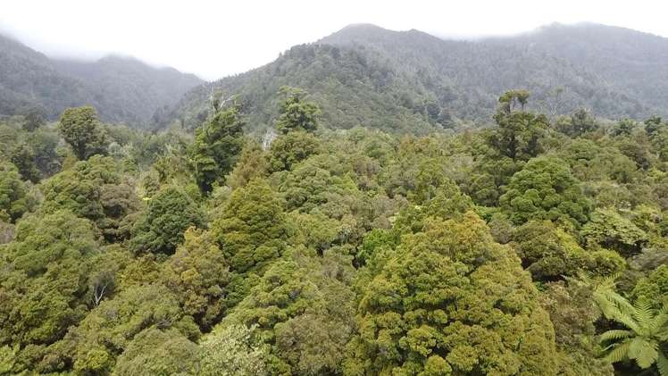 1/614 Birchfield Road, SH67 Birchfield_33