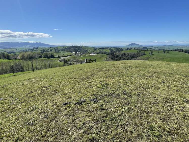 481 Honikiwi Road RD3 Otorohanga_11