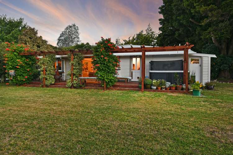 361 Main Road North Brown Owl_28