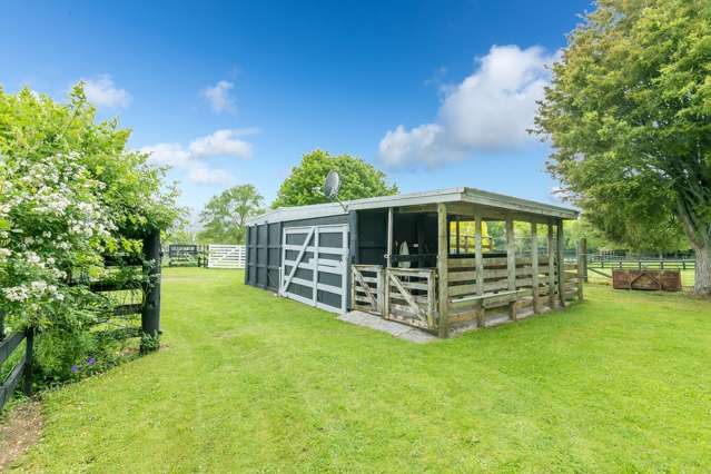 211c Discombe Road Tamahere_4