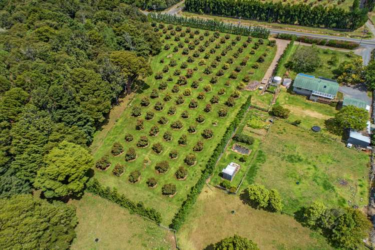 1701 State Highway 14 Maungatapere_19