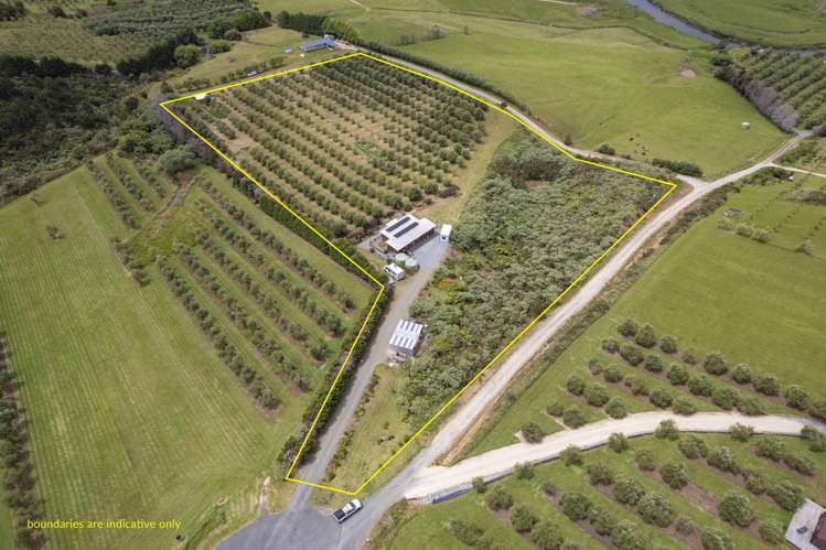 87 Leccino Valley Road Mangonui_22