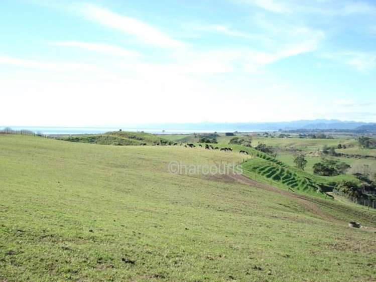 Paerata Ridge Road Opotiki_0