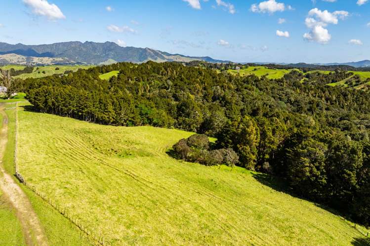 Baker Road Maungatapere_14