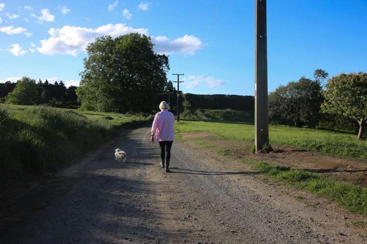 1042 Rangiuru Road Te Puke_8