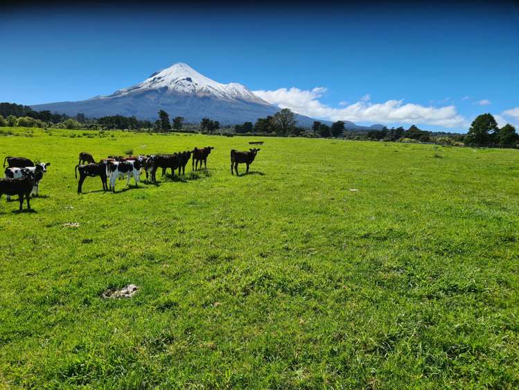 1384 Ihaia Road Opunake_6