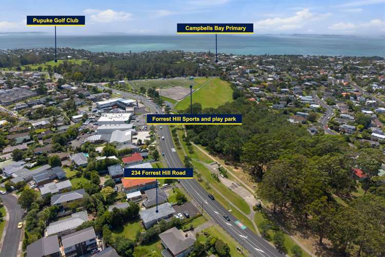 234 Forrest Hill Road Forrest Hill_3