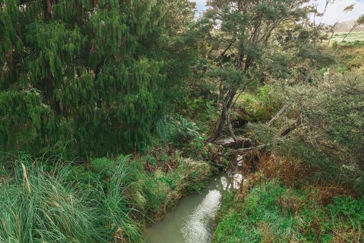 88 Waere Valley Lane Warkworth_9