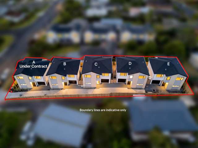 39E Moire Road Massey_2