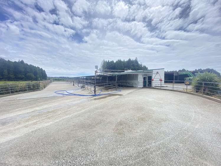 116-210 Waitaha Road Kakapotahi_6