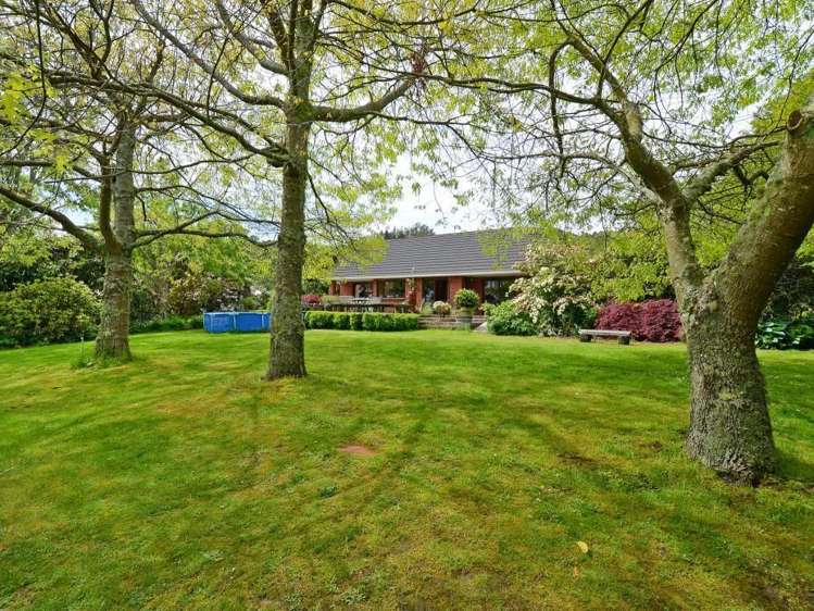 167 Katherine Mansfield Drive Whitemans Valley_6