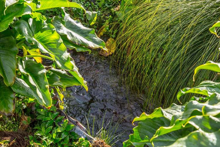 22 Waltons Avenue Masterton_19