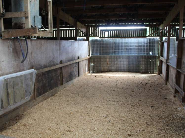 268 Ngamoko Road Norsewood_8