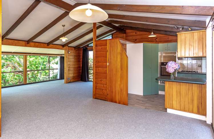 125 Hays Place Thames_5